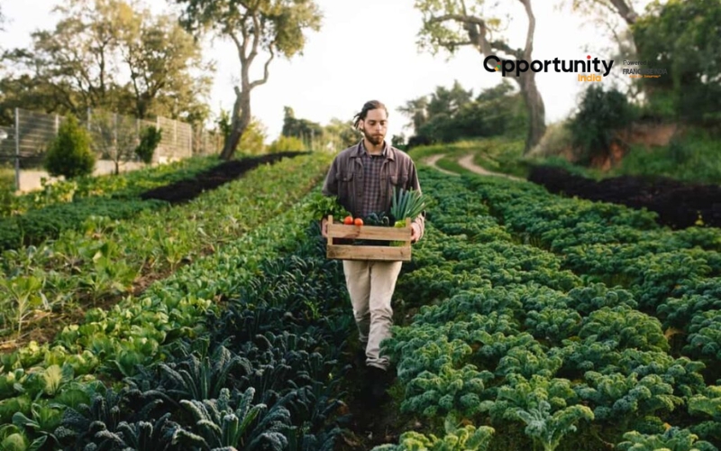 Regenerative farming: A business plan 